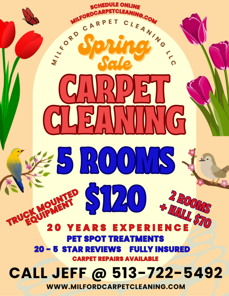 carpet cleaning special price